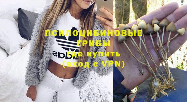 прущая мука Горно-Алтайск