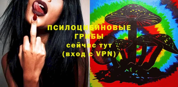 крисы Горнозаводск