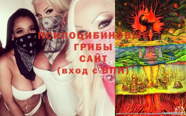 прущая мука Горно-Алтайск