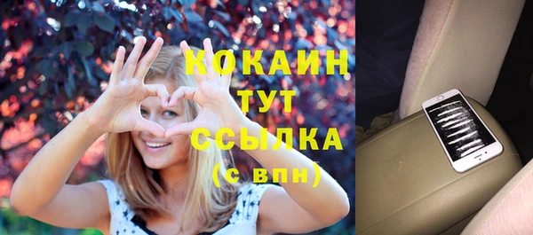 крисы Горнозаводск