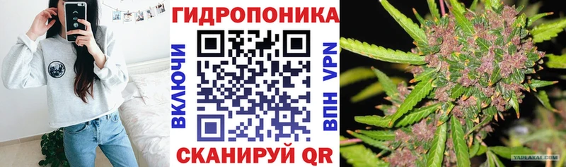 Шишки марихуана OG Kush  Приволжский 